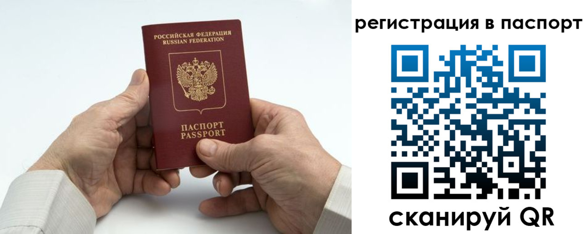 где прописаться в Ярославской области